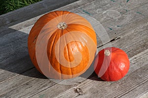 Two pumpkins lie on an old wooden table