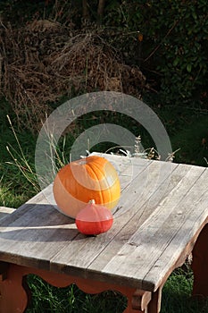 Two pumpkins lie on an old wooden table in a garden