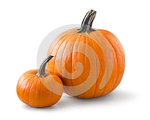 Two pumpkins