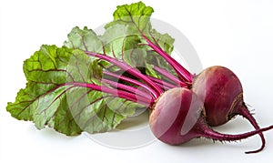 Two purple beets with green leaves