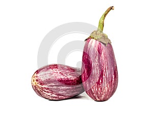 Two purple eggplants