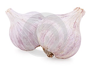 Two purple garlic