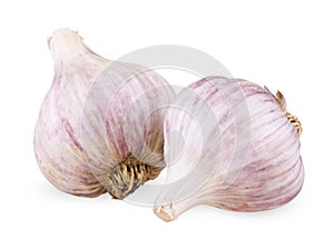 Two purple garlic