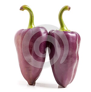 Two purple peppers on white background macro