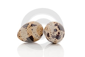 Two quail eggs isolated