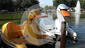 Two quiet pedal boats with bird shape