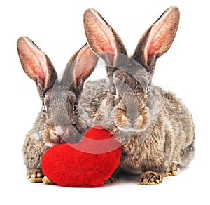 Two rabbits and heart.