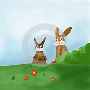 Two rabbits in a meadow