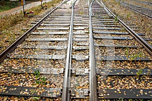 Two railway lines going to the perspective of sunny days