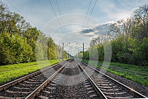 two railway tracks go into green forest