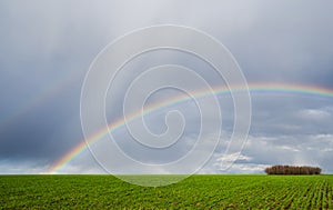 Two rainbows over green agriculture field photo