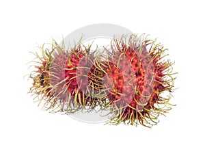 Two rambutans isolated on white