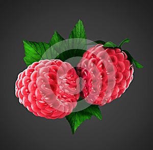 Two raspberries with clipping path