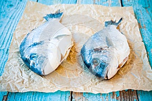 Two raw dorada fishes