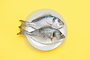 Two raw dorado fish on white plate on a bright yellow background. Mediterranean seafood concept