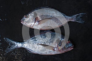 Two raw dorados on the dark stone table photo