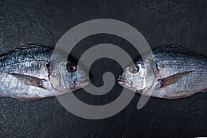 Two raw dorados on the dark stone table photo