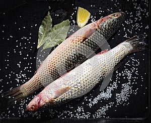 Two raw fish with lemon and salt on a black background