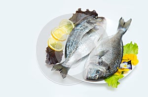 Two raw fresh dorado fish with spices and lemon on a white table.