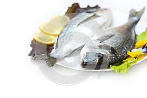 Two raw fresh dorado fish with spices and lemon on a white table.