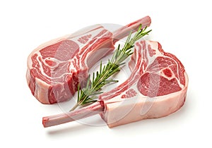 Two raw lamb chops with rosemary isolated on white background