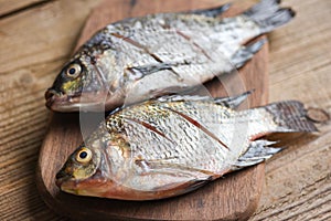Two raw nile tilapia freshwater fish on wooden wooden board - Fresh tilapia fish for cooking food