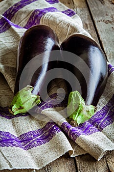 Two raw organic eggplant