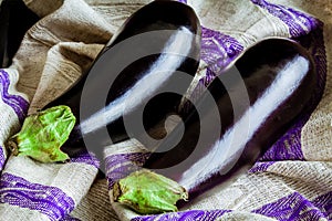 Two raw organic eggplant on sackcloth