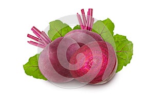 Two raw ripe red beets and a slice isolated on a white background with green leaves.