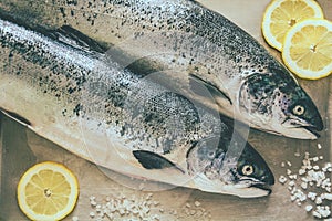 Two raw salmons