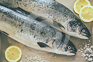 Two raw salmons photo