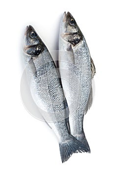 Two raw seabass