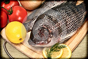 Two Raw Tilapia Fish in Vintage Style Photograph