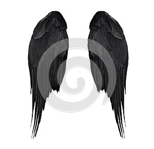 Two real black angel wings with big feathers isolated on white background