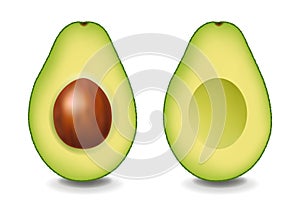 Two Realistic Avocado With White Background