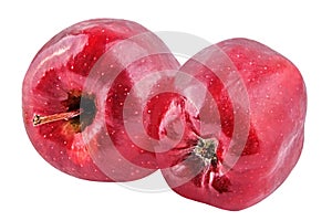 Two red apple isolated on white background