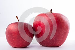 Two red apples on white background