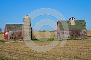 Two Red Barns in Farmfield