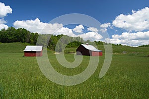 Two Red Barns in a Field