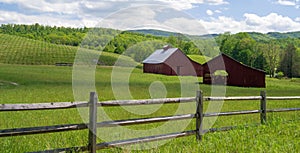 Two Red Barns in a Field