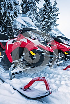 Two red and black snowmobiles near winter forest