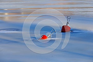 Two red buoys sunk in the ice