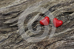 Two red candy hearts on tree