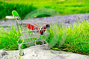 Two red cars in the shopping cart on the background of nature green field and the river in the background