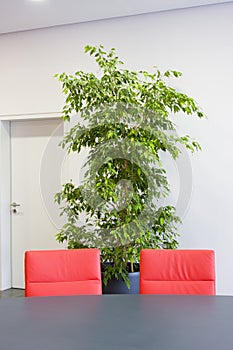 Two red chairs in a meeting room