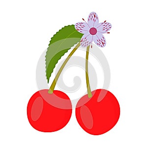 Two red cherries on branch with a pink flower and a green leaf. Icon from cherry berries. Isolated vector illustration.