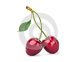 Two red cherries photo