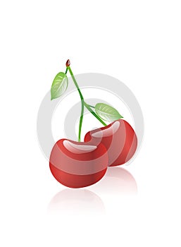 Two red cherry