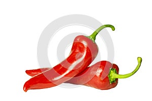 two red chilli peppers on a white background