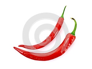 Two red chilly pepper isolated